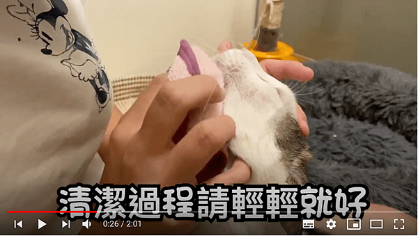 螢幕快照 2020-05-22 下午6.17.35
