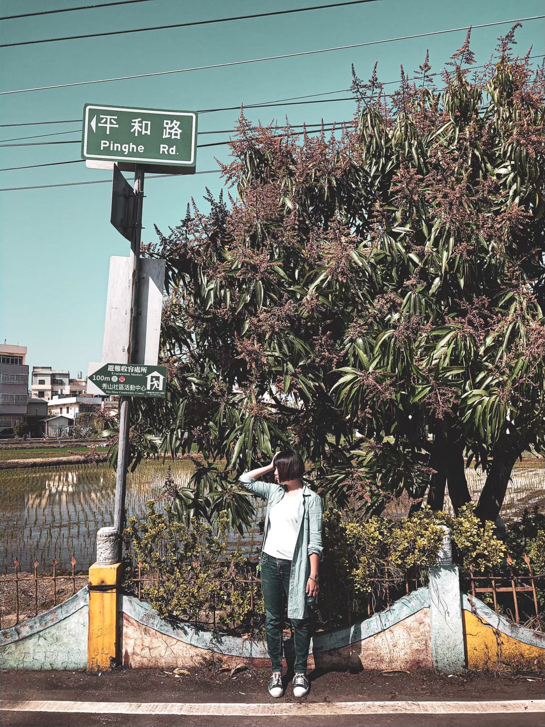 About 萍姐愛分享