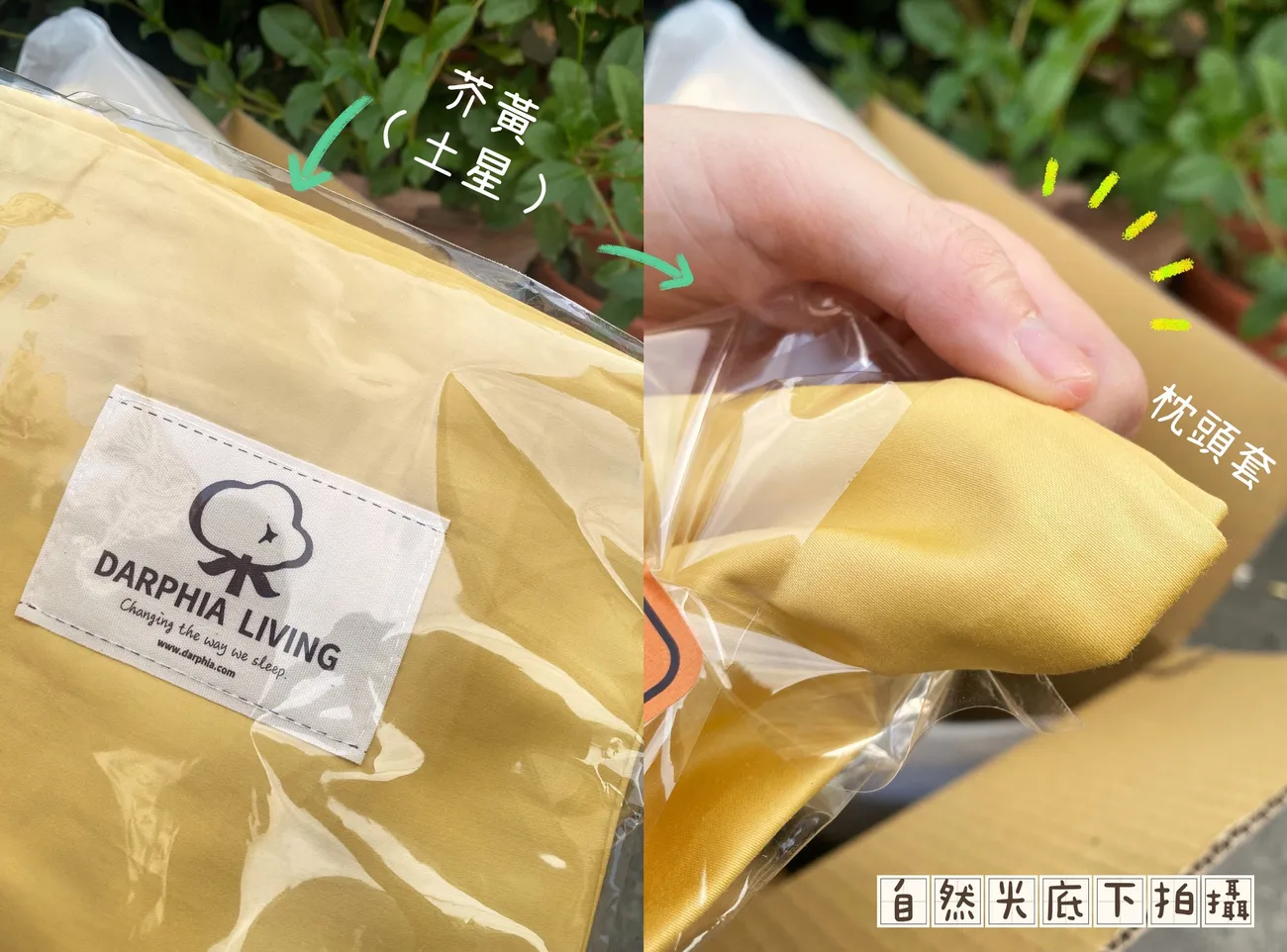 Darphia朵法亞棉眠床包｜空白宇宙 新發現！5款新色自由搭｜棉中精品長絨棉使用｜單件購買 為自己的空白宇宙上色