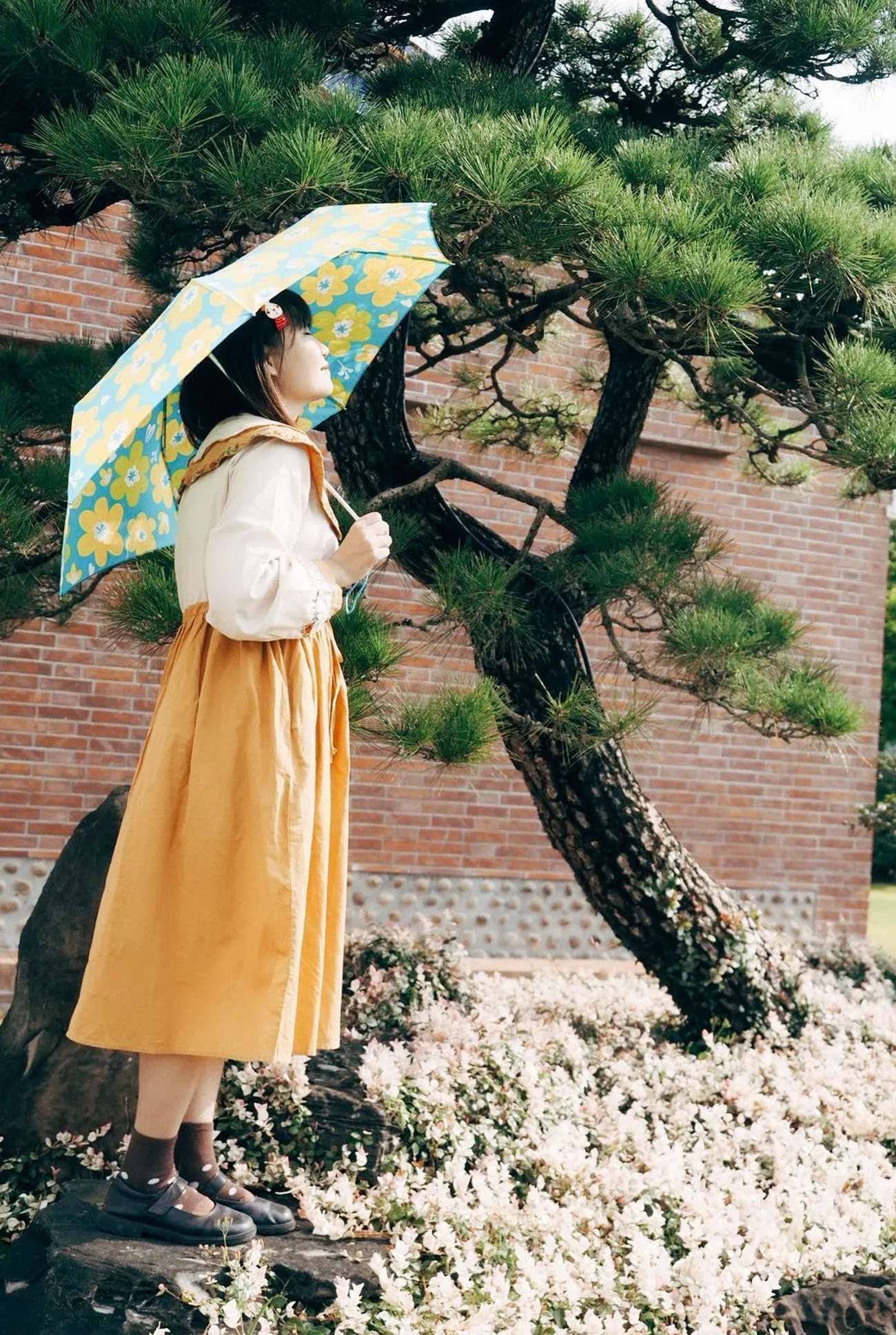 [彰化景點] 成美文化園 紫薇花季｜夏日粉色泡泡來臨｜永靖親子景點｜一秒置身國外｜拍照景點懶人攻略｜內附2022最新優惠