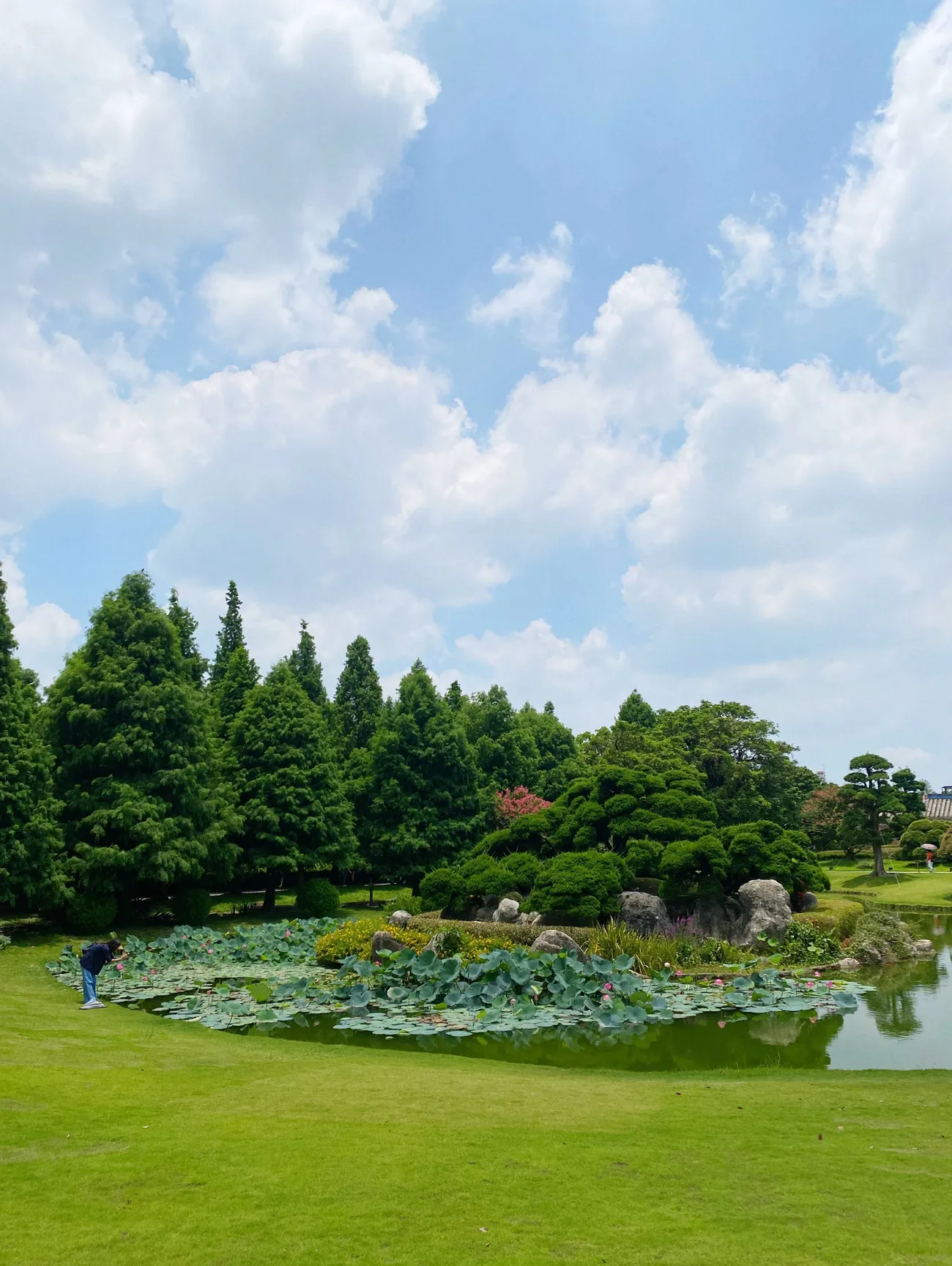 [彰化景點] 成美文化園 紫薇花季｜夏日粉色泡泡來臨｜永靖親子景點｜一秒置身國外｜拍照景點懶人攻略｜內附2022最新優惠