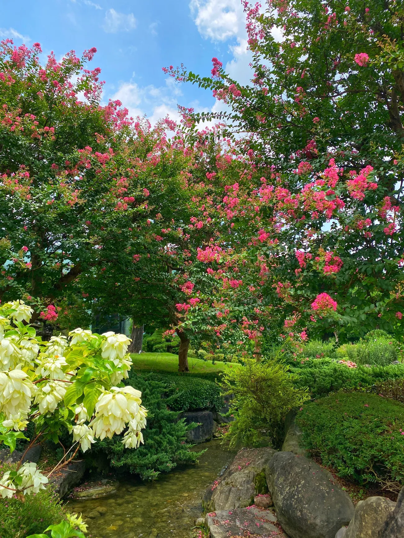[彰化景點] 成美文化園 紫薇花季｜夏日粉色泡泡來臨｜永靖親子景點｜一秒置身國外｜拍照景點懶人攻略｜內附2022最新優惠