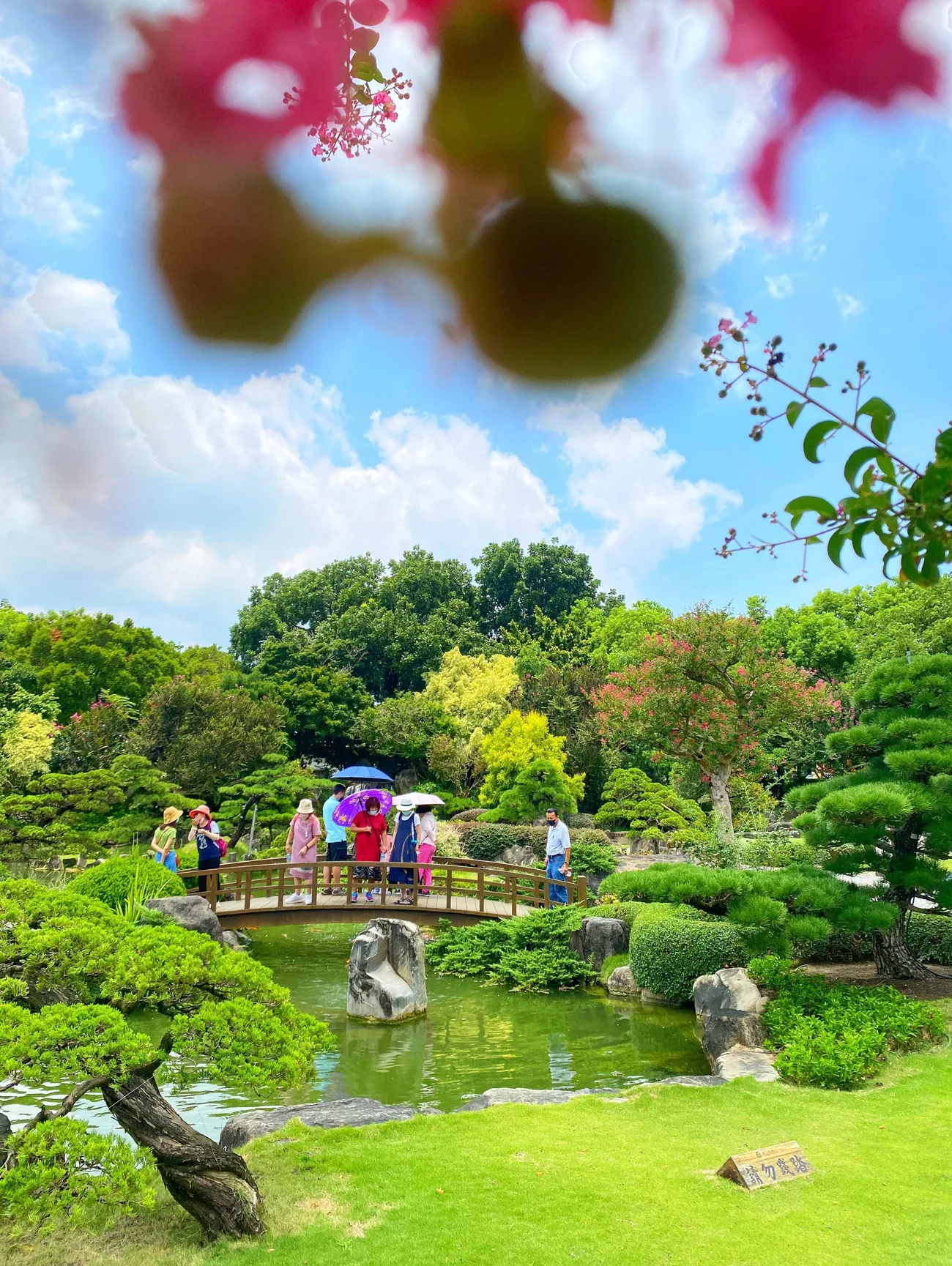 [彰化景點] 成美文化園 紫薇花季｜夏日粉色泡泡來臨｜永靖親子景點｜一秒置身國外｜拍照景點懶人攻略｜內附2022最新優惠