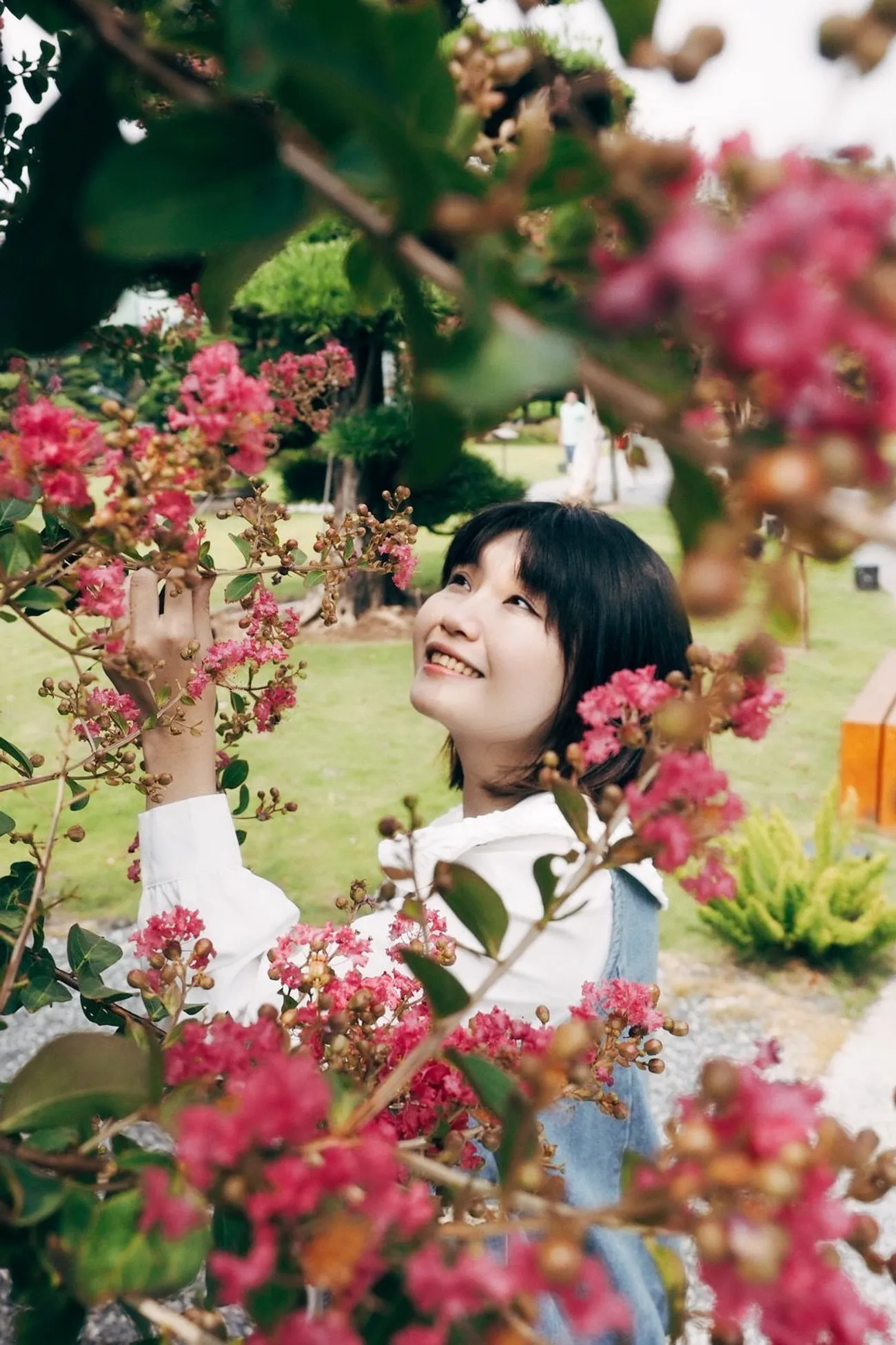 [彰化景點] 成美文化園 紫薇花季｜夏日粉色泡泡來臨｜永靖親子景點｜一秒置身國外｜拍照景點懶人攻略｜內附2022最新優惠