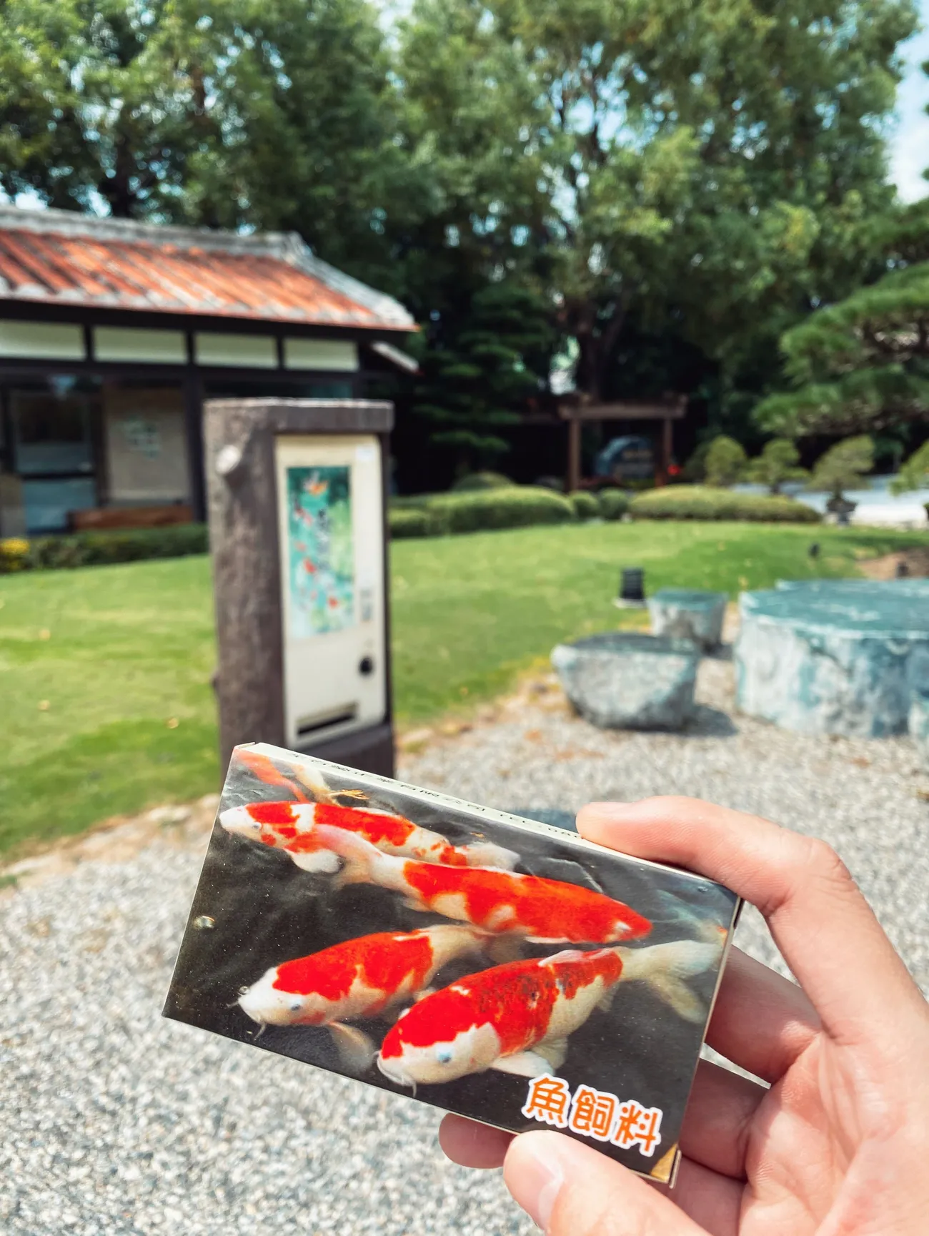 [彰化景點] 成美文化園 紫薇花季｜夏日粉色泡泡來臨｜永靖親子景點｜一秒置身國外｜拍照景點懶人攻略｜內附2022最新優惠