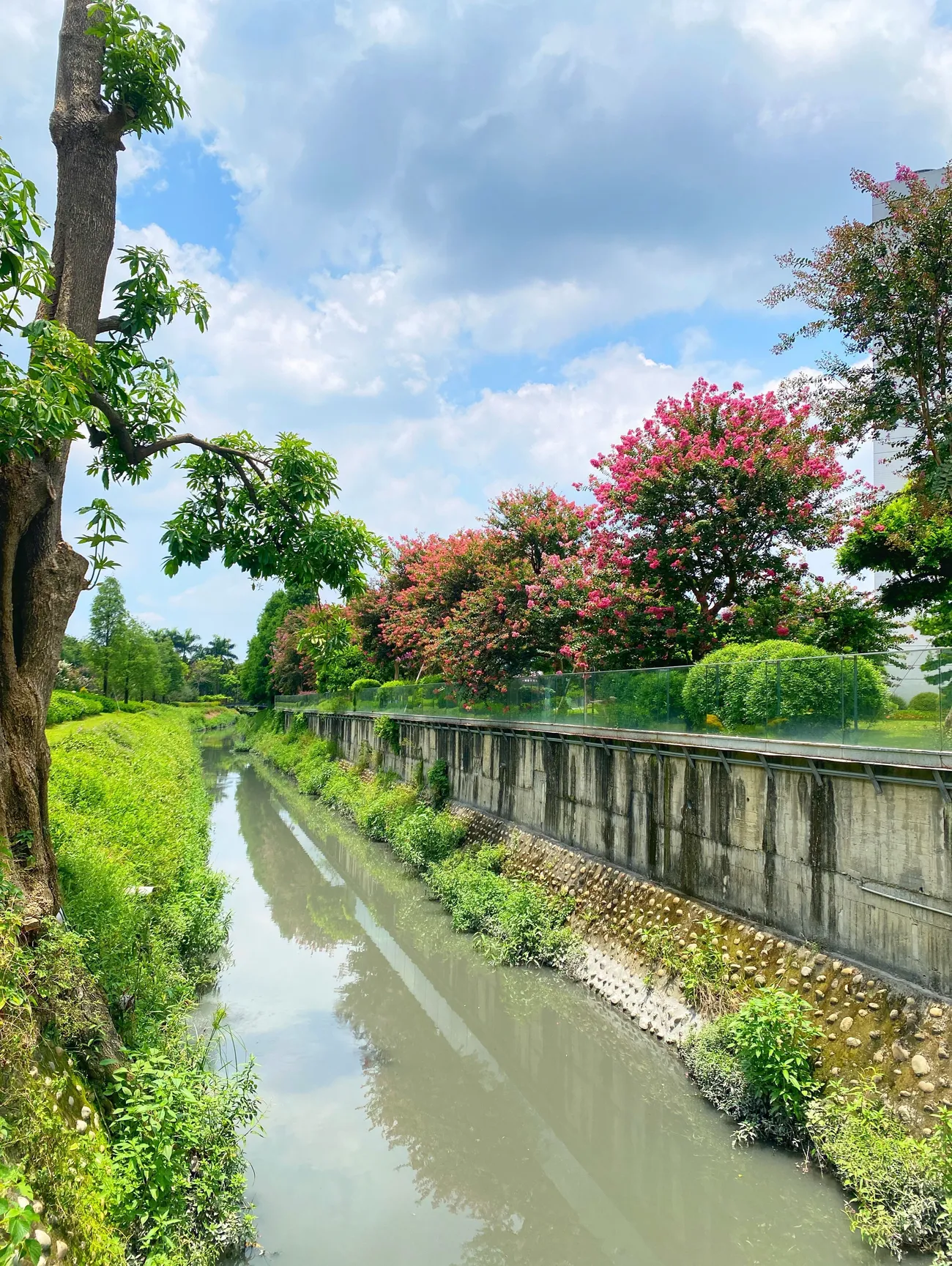 [彰化景點] 成美文化園 紫薇花季｜夏日粉色泡泡來臨｜永靖親子景點｜一秒置身國外｜拍照景點懶人攻略｜內附2022最新優惠