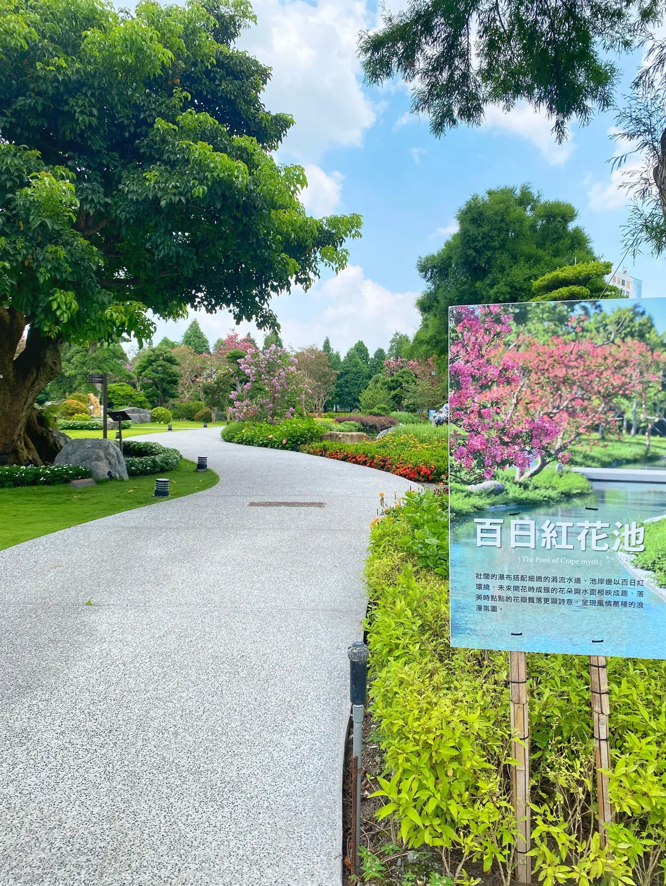 [彰化景點] 成美文化園 紫薇花季｜夏日粉色泡泡來臨｜永靖親子景點｜一秒置身國外｜拍照景點懶人攻略｜內附2022最新優惠