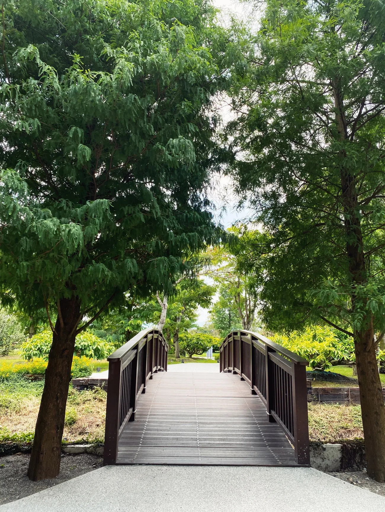 [彰化景點] 成美文化園 紫薇花季｜夏日粉色泡泡來臨｜永靖親子景點｜一秒置身國外｜拍照景點懶人攻略｜內附2022最新優惠