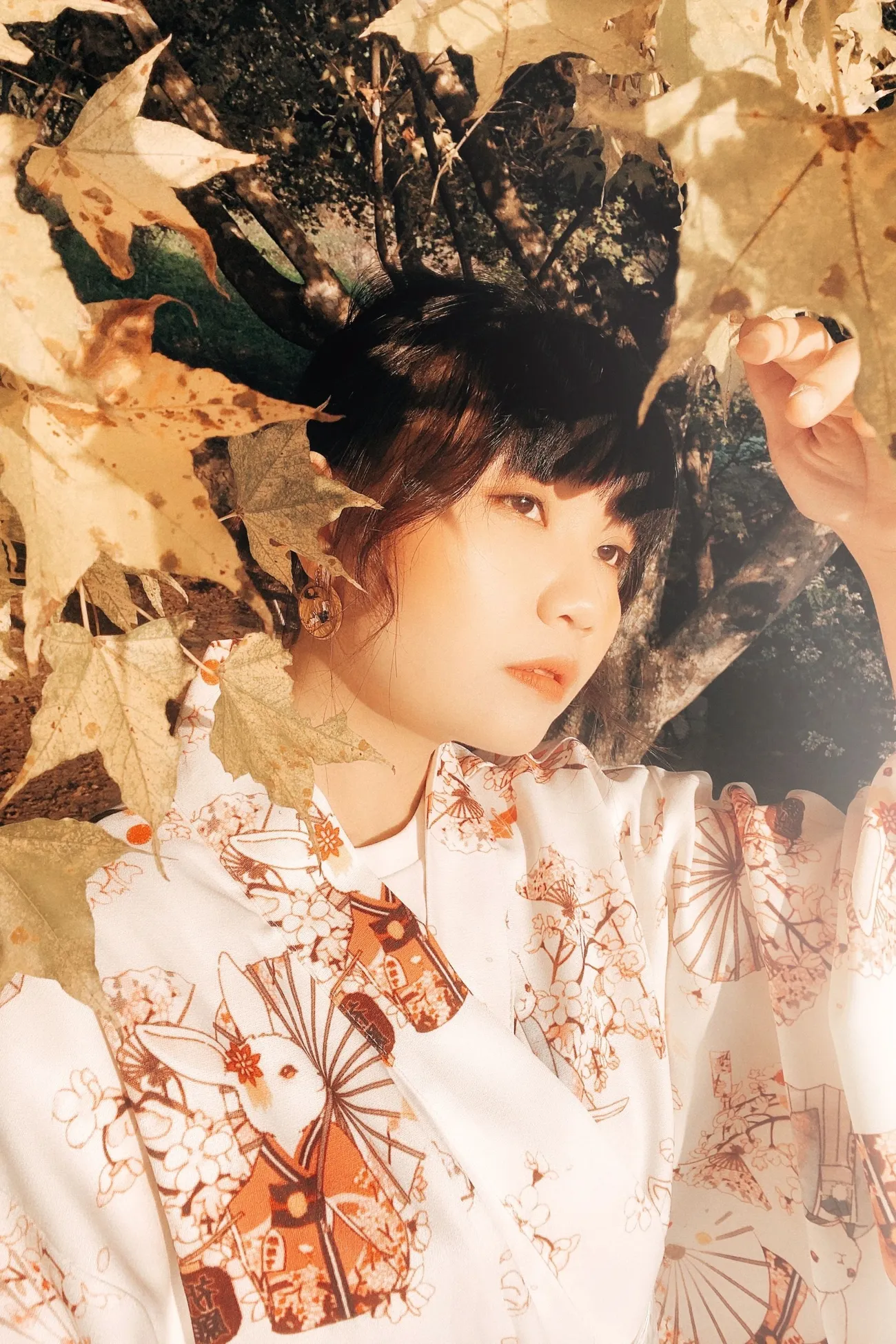 [台中新社] 沐心泉休閒農場｜超美的白雪木花季來啦！白雪木Ｘ黃金楓森林秘境 超好拍！