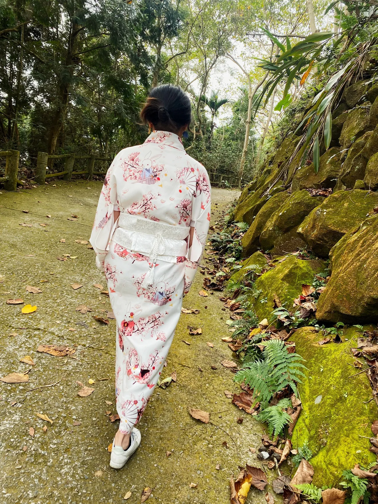 [台中新社] 沐心泉休閒農場｜超美的白雪木花季來啦！白雪木Ｘ黃金楓森林秘境 超好拍！