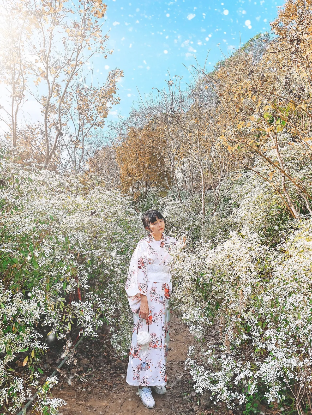 [台中新社] 沐心泉休閒農場｜超美的白雪木花季來啦！白雪木Ｘ黃金楓森林秘境 超好拍！