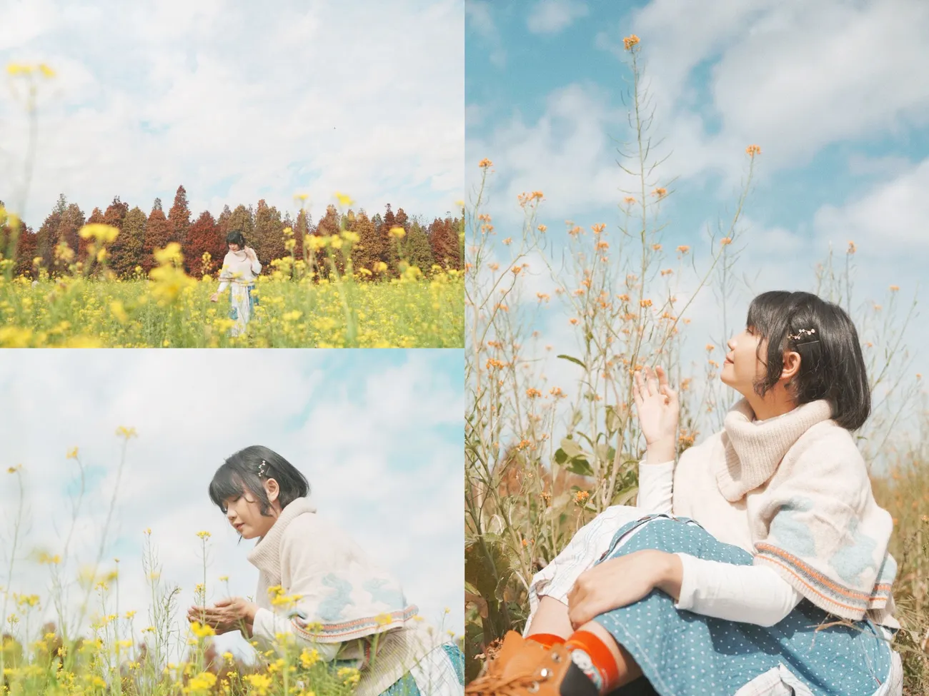 [彰化大村] 彰化大村落羽松秘境｜超大片落羽松Ｘ油菜花田超夢幻！12月-1月季節限定！免門票景點