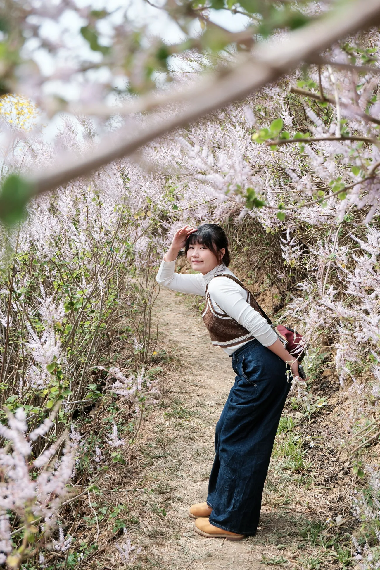 [南投中寮] 瑰蜜甜心玫瑰園｜夢幻麝香木花滿開中！彷彿置身在紫色花海｜超絕美麝香木隧道等你來朝聖｜預計3月底結束花季