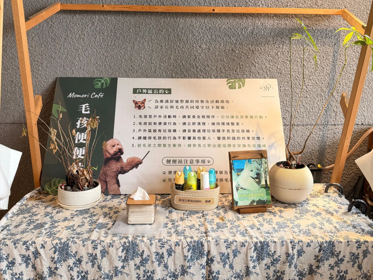 [台中西區] 毛五木-Momori Café & Bar｜森林系玻璃屋｜免費嚕大狗狗｜毛孩也能一起享用美食的療癒空間！