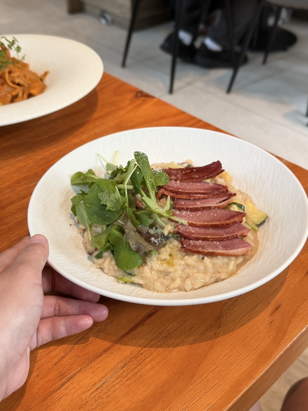 [台中西區] 毛五木-Momori Café & Bar｜森林系玻璃屋｜免費嚕大狗狗｜毛孩也能一起享用美食的療癒空間！